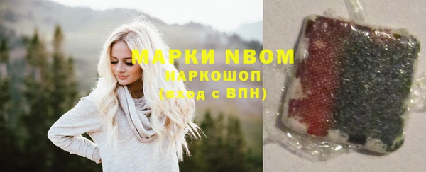 ПСИЛОЦИБИНОВЫЕ ГРИБЫ Ельня