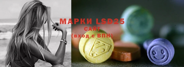 ПСИЛОЦИБИНОВЫЕ ГРИБЫ Ельня