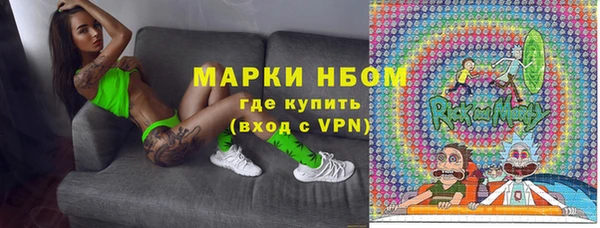 ПСИЛОЦИБИНОВЫЕ ГРИБЫ Ельня