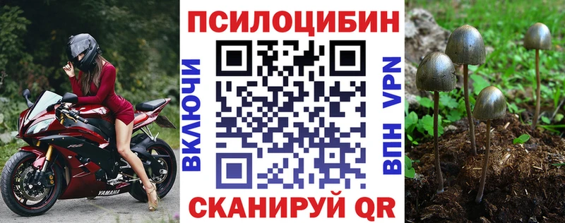 Псилоцибиновые грибы GOLDEN TEACHER  Пущино 